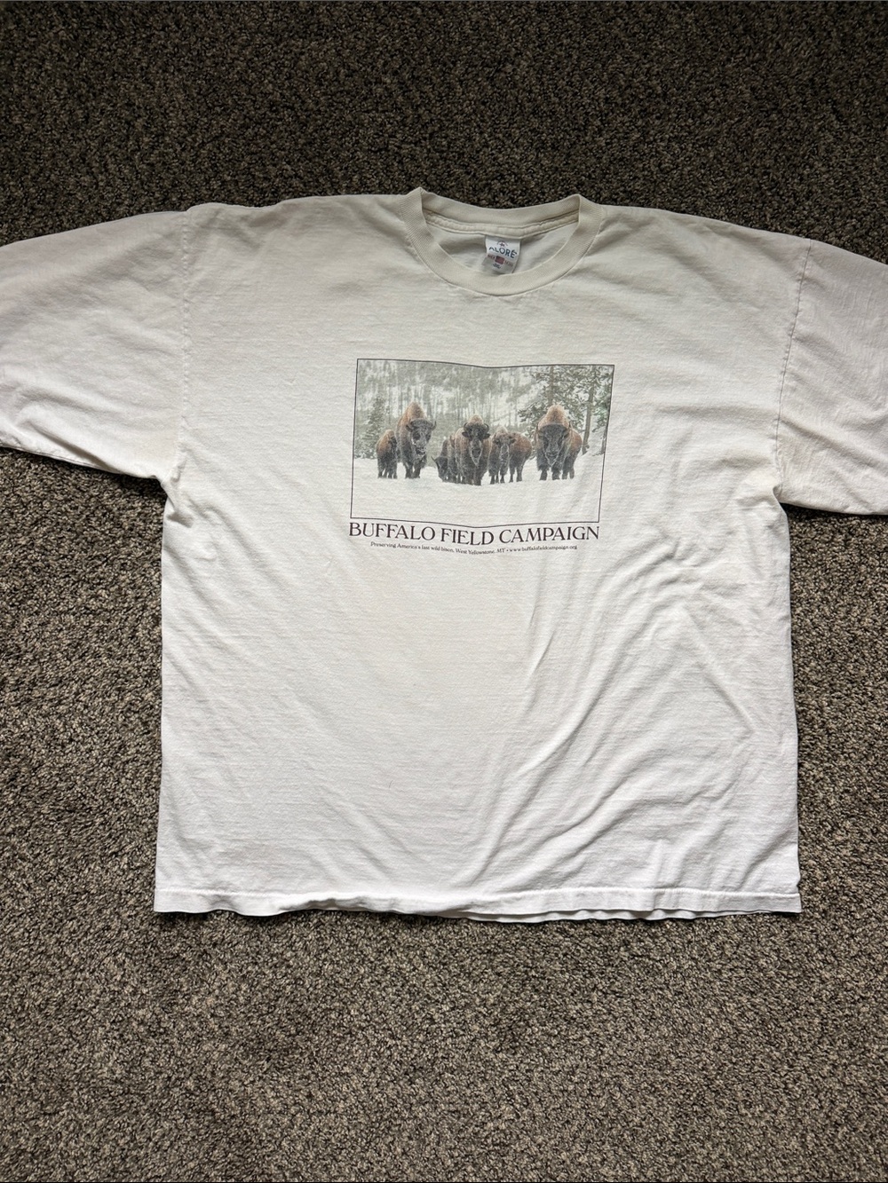 Men’s vintage nature Graphic T-Shirt
